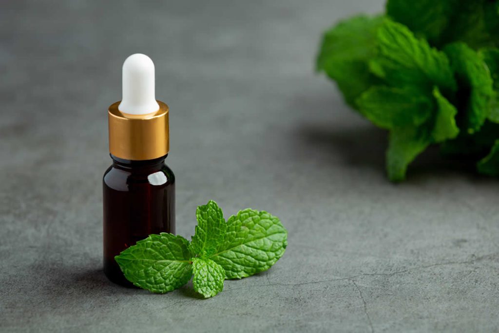 Does Peppermint Oil Repel Rats?