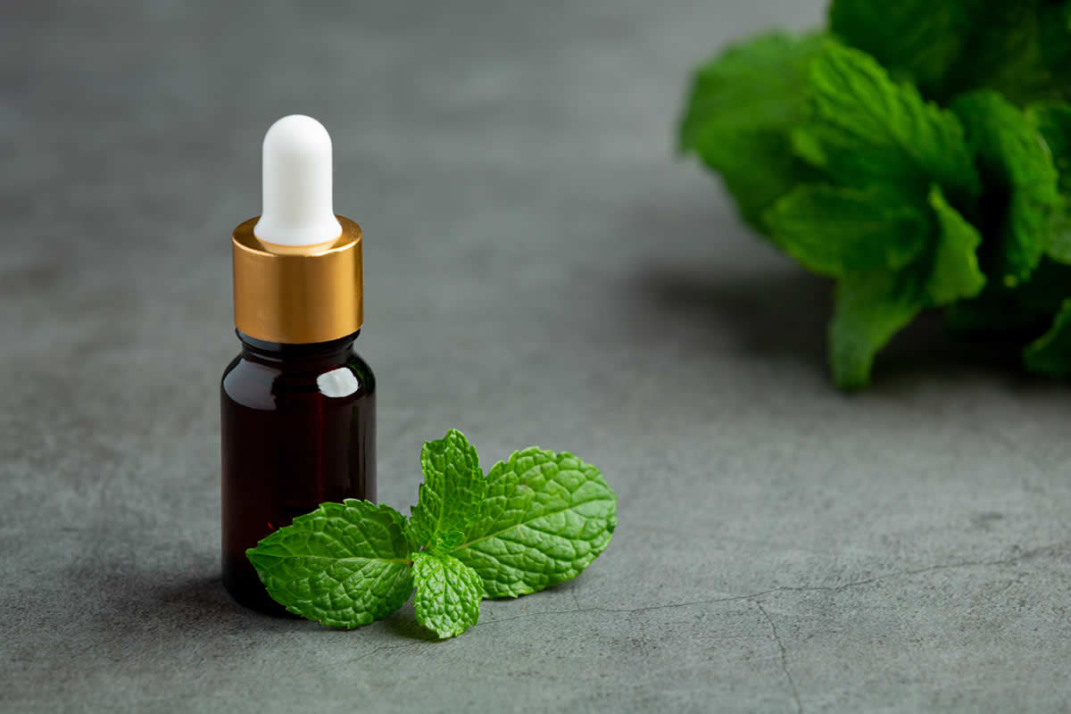 Does Peppermint Oil Repel Rats?