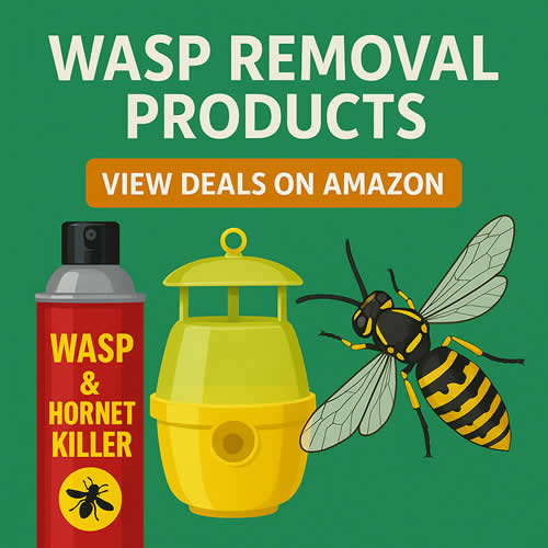 Wasp Removal Products on Amazon
