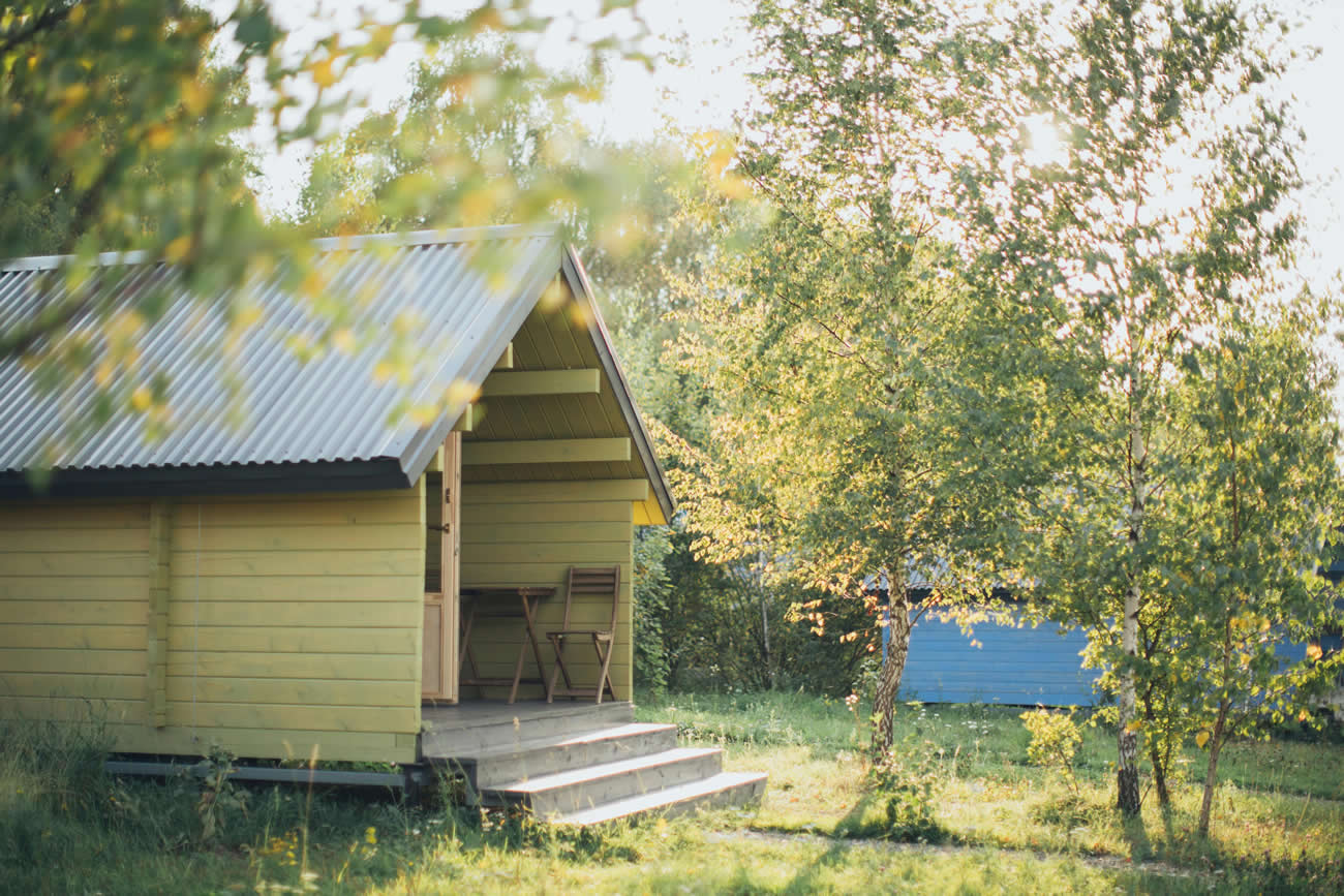 How to Get Rid of Rats Under Your Shed