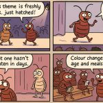 What Colour Are Bed Bugs?