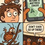 Do Bed Bugs Inhabit Human Hair?