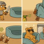 How To Keep Your Pets Safe from Bed Bugs