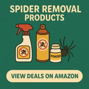 Spider Removal Products on Amazon