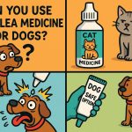 Can You Use Cat Flea Medicine for Dogs?