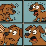 What Do Flea Bites Look Like on Dogs?