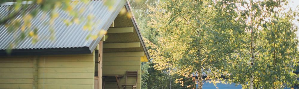 How to Get Rid of Rats Under Your Shed